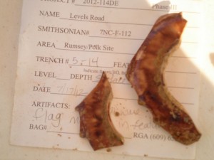 Mid 18th century tortoise shell teapot fragment