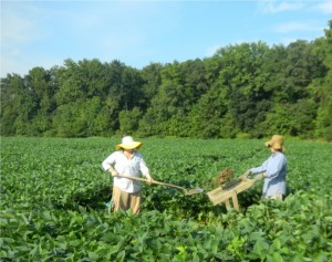 Field Techs starting to dig at the site