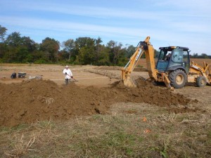 Stripping the Site