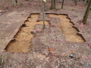 Looking south across the initial excavation blocks after removal of the historic plow zone.